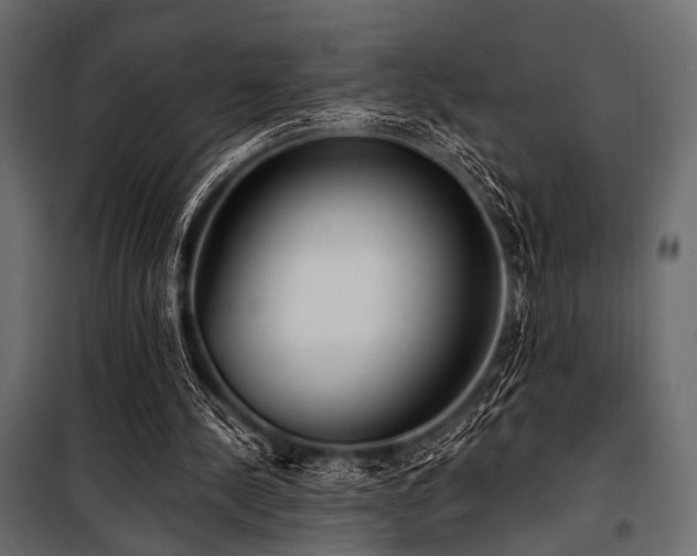 X0000100870244200806201248