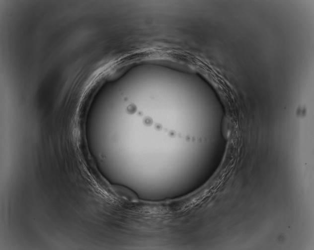 X0000100870245200806201248