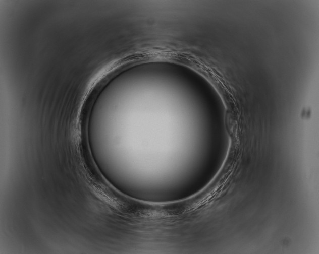 X0000100870246200806201248