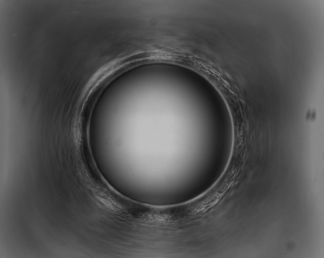 X0000100870247200806201248