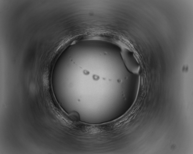 X0000100870249200806201248