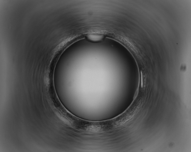 X0000100870252200806201248