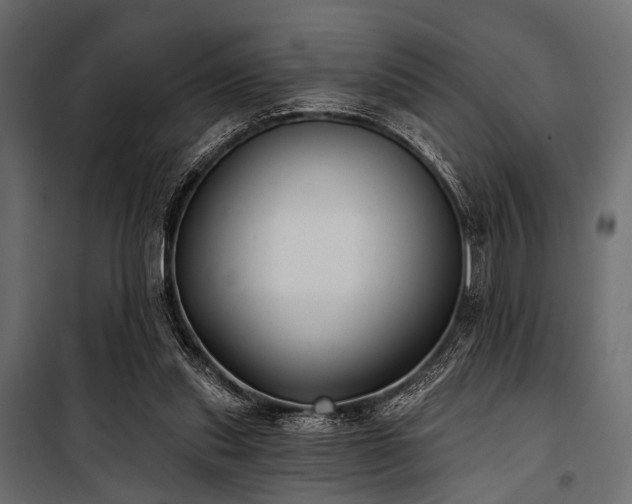 X0000100870253200806201248