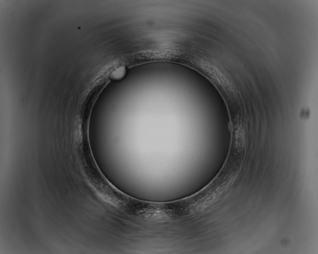 X0000100870254200806201248