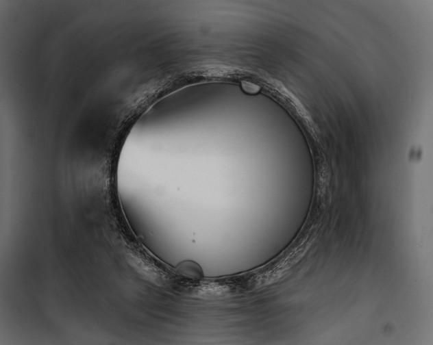 X0000100870257200806201248