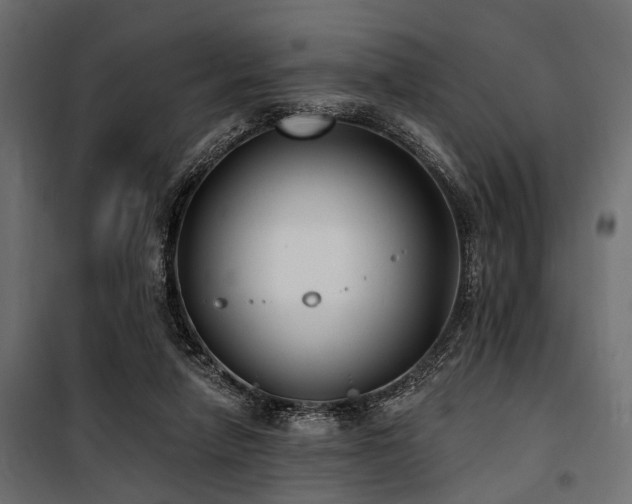 X0000100870258200806201248