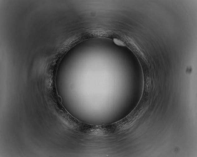 X0000100870259200806201248