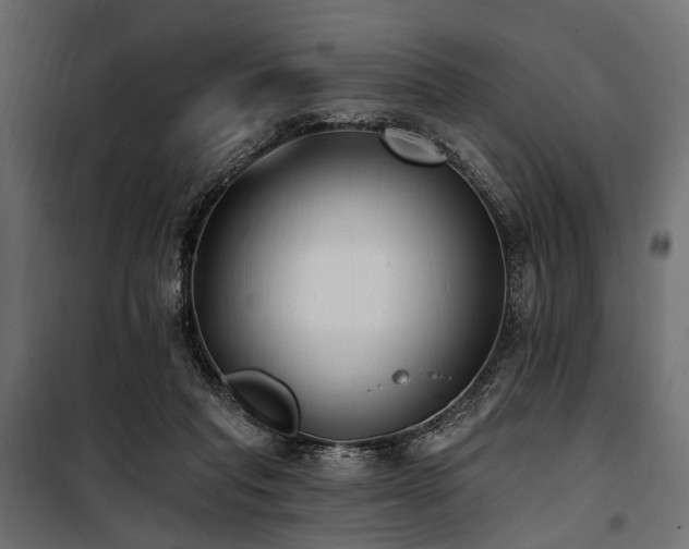 X0000100870261200806201248