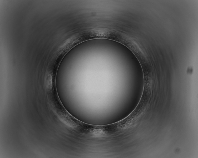 X0000100870262200806201248