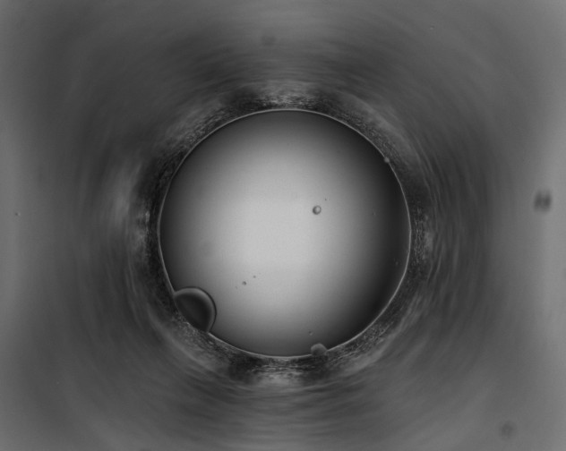 X0000100870263200806201248