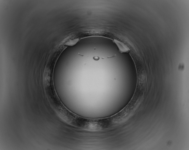 X0000100870264200806201248