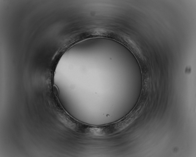 X0000100870265200806201248