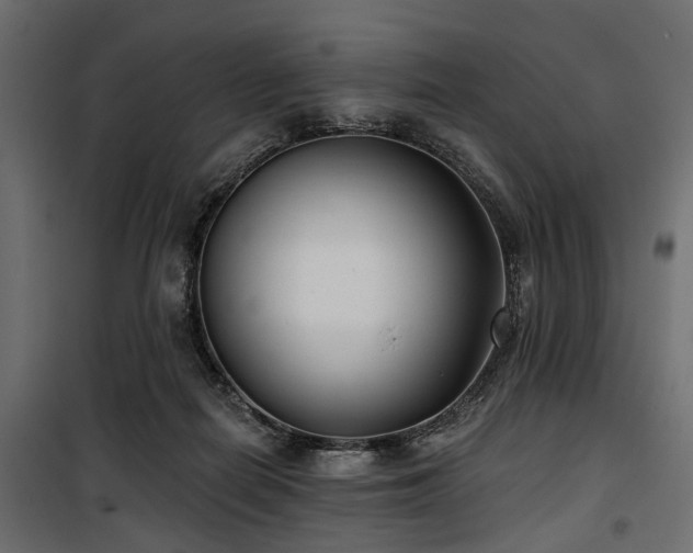 X0000100870266200806201248