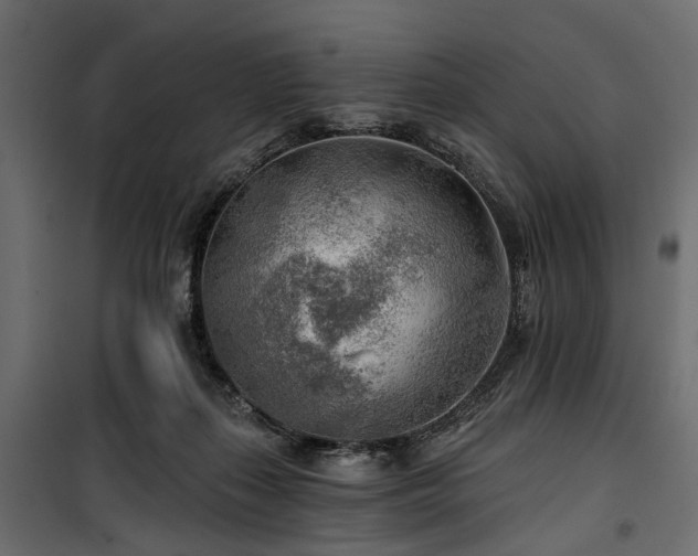 X0000100870267200806201248