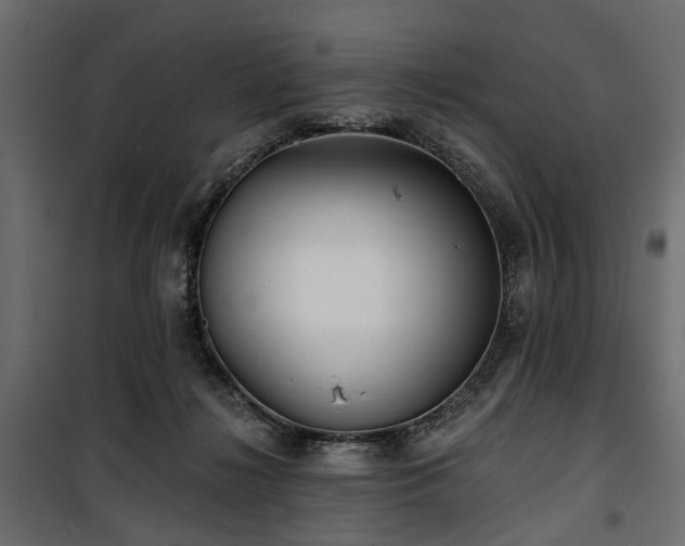 X0000100870268200806201248