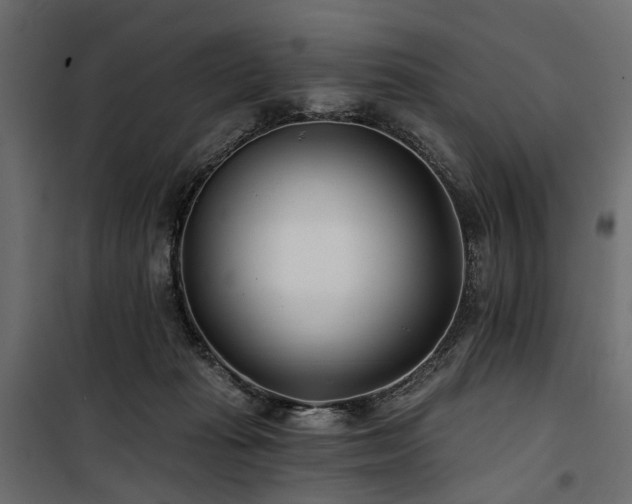 X0000100870269200806201248