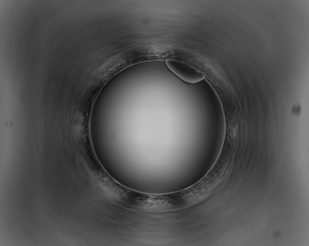 X0000100870270200806201248