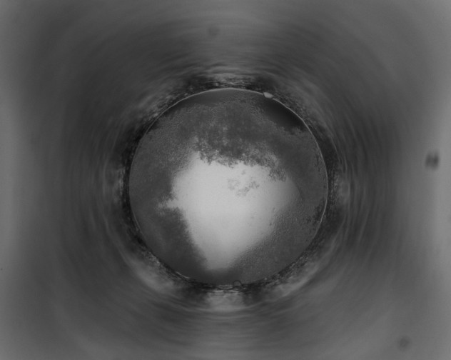 X0000100870271200806201248