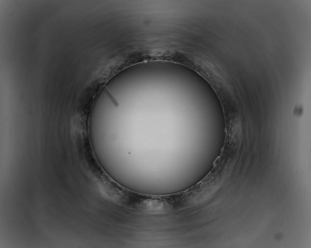 X0000100870272200806201248