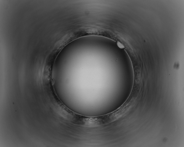 X0000100870273200806201248