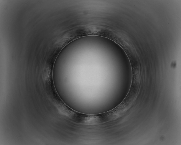 X0000100870274200806201248