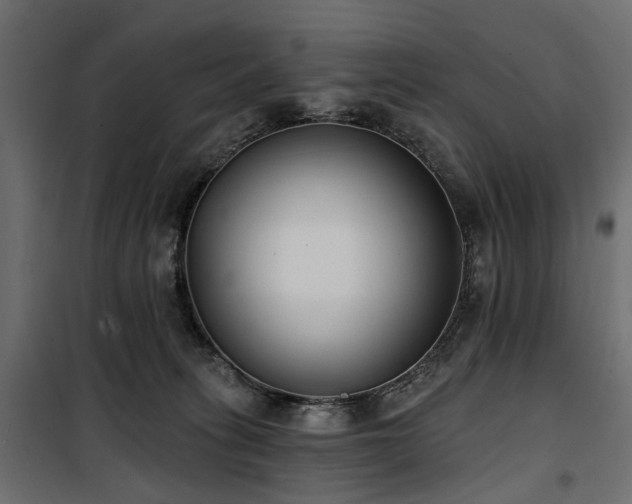 X0000100870275200806201248