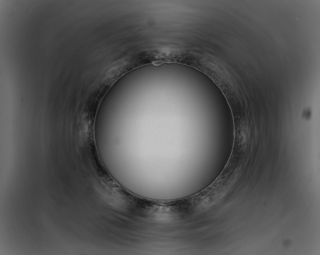 X0000100870276200806201248