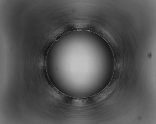 X0000100870277200806201248