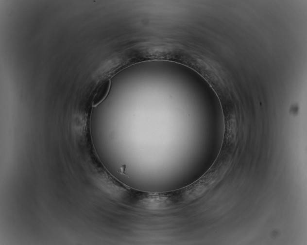 X0000100870278200806201248