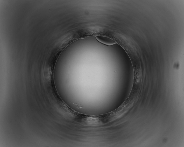 X0000100870279200806201248