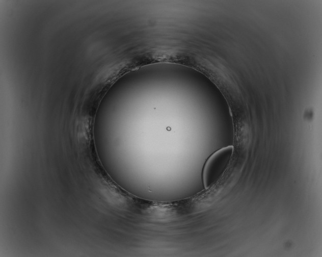 X0000100870280200806201248