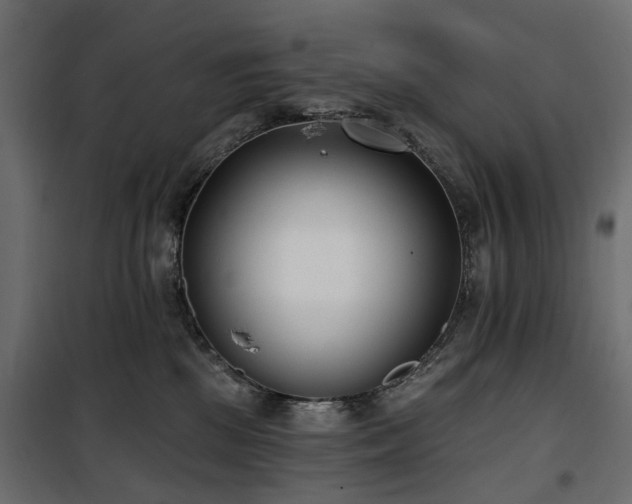 X0000100870281200806201248