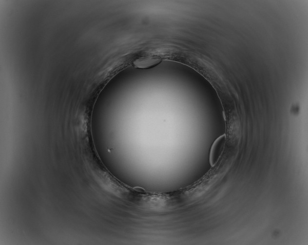 X0000100870282200806201248