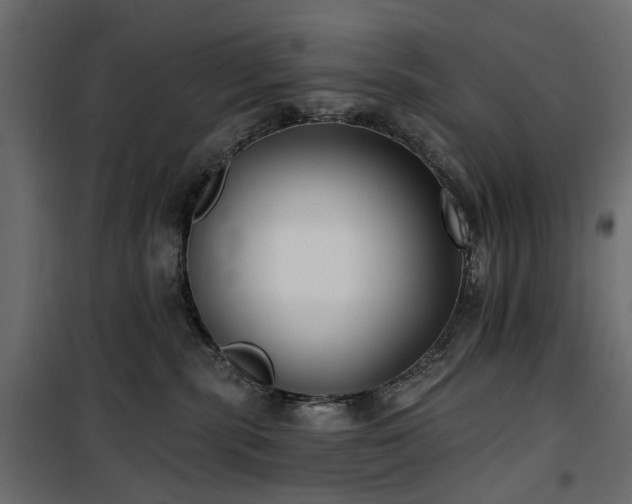 X0000100870283200806201248