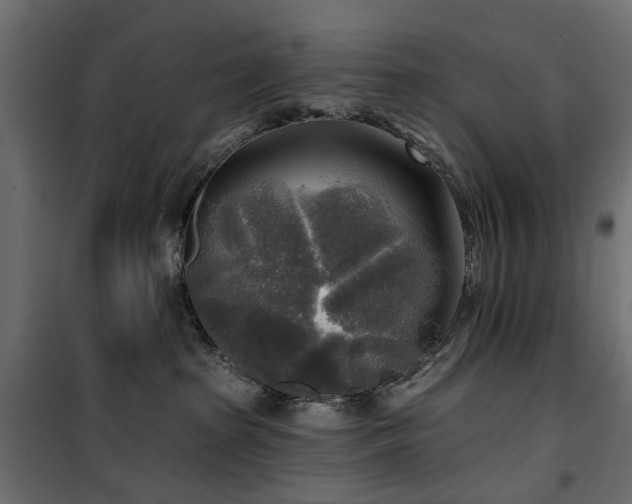 X0000100870285200806201248