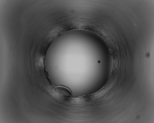 X0000100870286200806201248