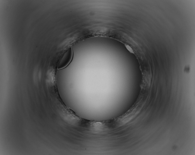 X0000100870287200806201248