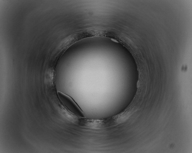 X0000100870288200806201248