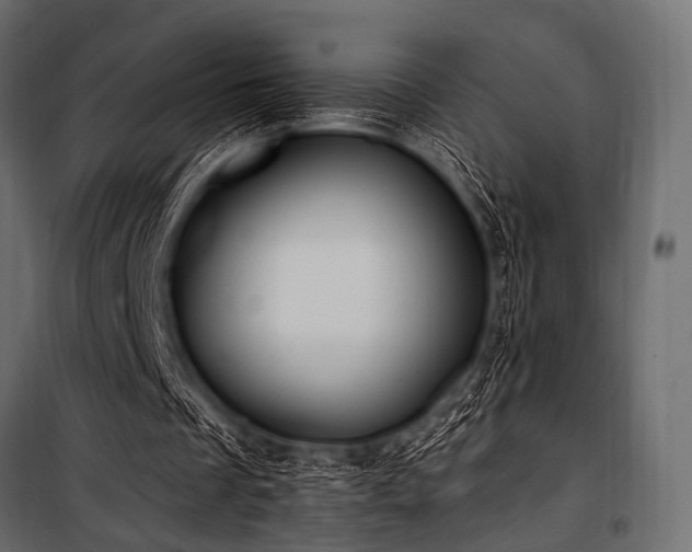 X0000100870289200806201247