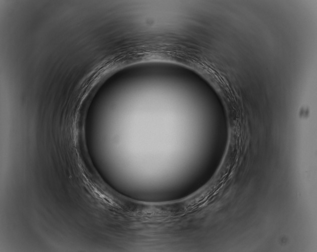 X0000100870290200806201247