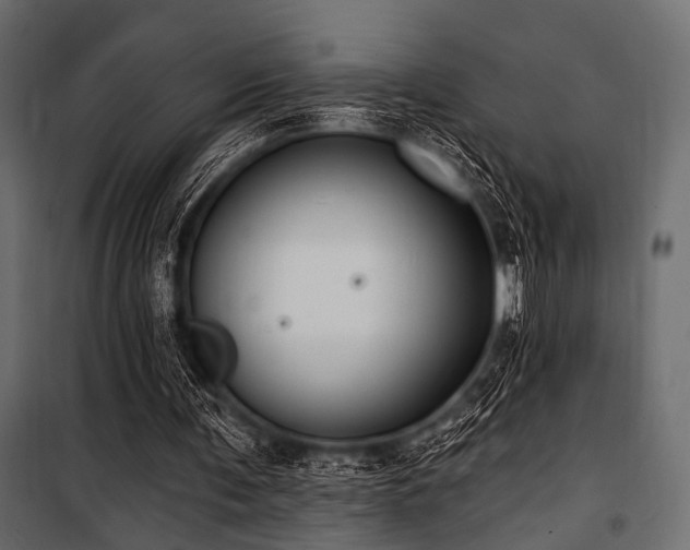 X0000100870291200806201247