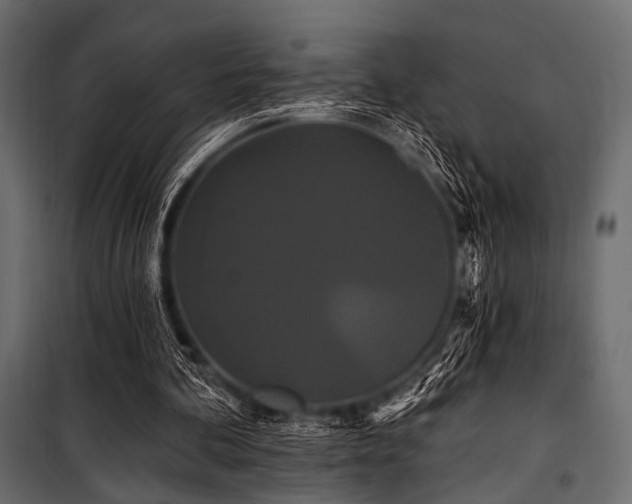 X0000100870292200806201247