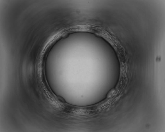 X0000100870293200806201247