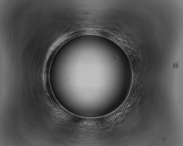 X0000100870294200806201247