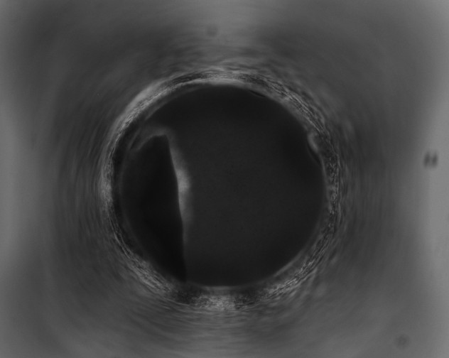 X0000100870295200806201247