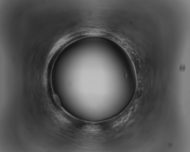 X0000100870296200806201247