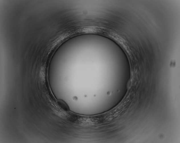 X0000100870297200806201247