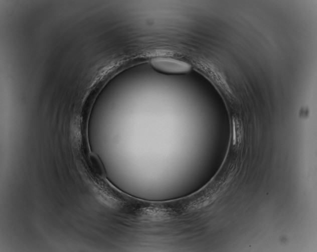 X0000100870300200806201247