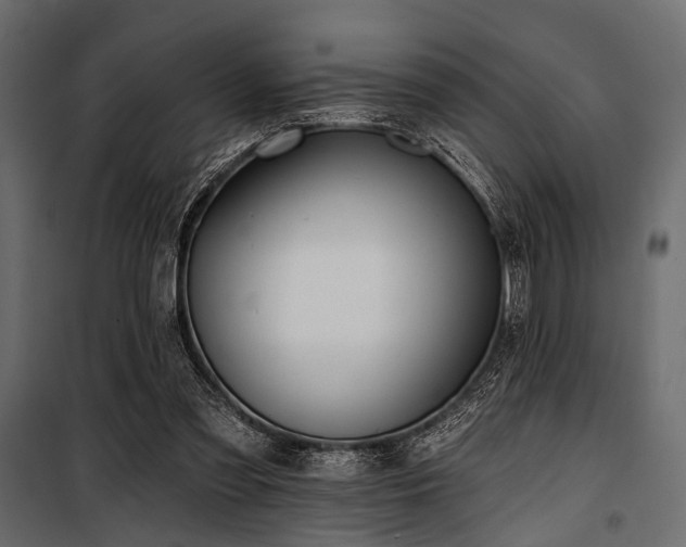 X0000100870301200806201247