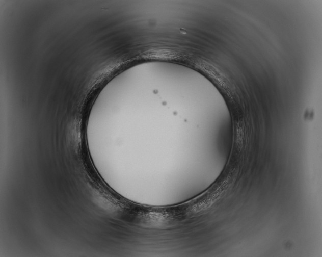 X0000100870302200806201247